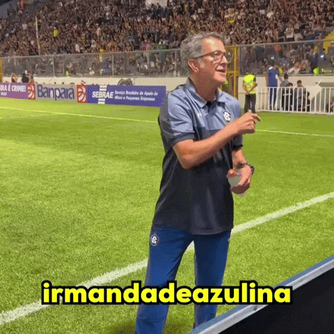 Brasileirao GIF