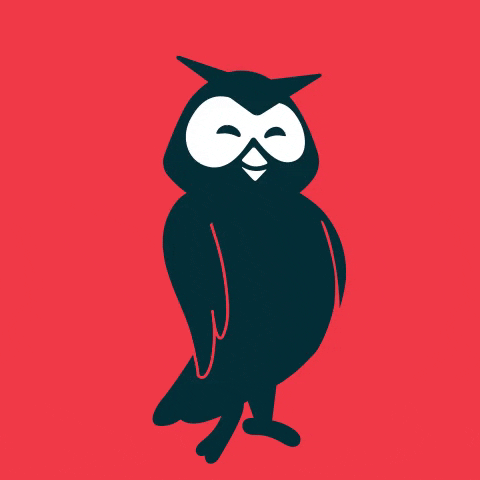 Happy Owl GIF by Hootsuite