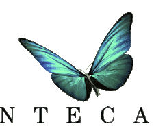 Chantecaille Sticker