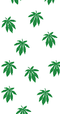 Transparent-anime GIFs - Get the best GIF on GIPHY Transparent-anime GIFs - Get the best GIF on GIPHY