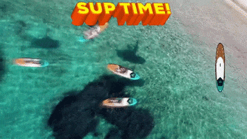 Surf Sup GIF by AQUA SUPS
