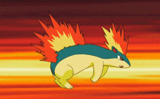 Cyndaquil GIFs on Giphy