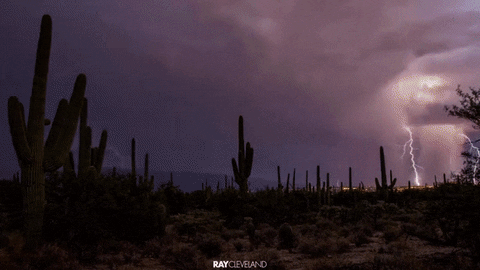 Thunder in the desert