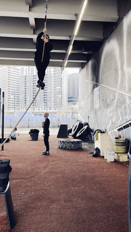 Martial Arts Fitness GIF by Casol