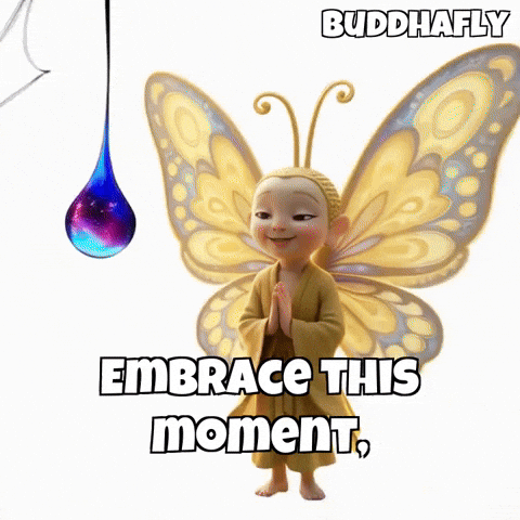 Butterfly Universe GIF by BuddhaFlyJourney
