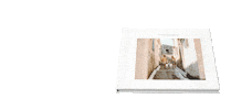Holiday Photography Sticker by myphotobook.de