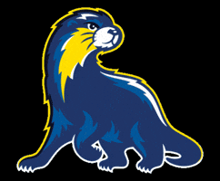 Grand Rapids Raiders GIF by Grand Rapids Community College