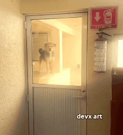 Dog Jumping GIF by DevX Art