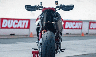 trydeal ducati license plate motorcycle number plate GIF