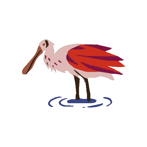 Confra Sticker by TPF Engenharia