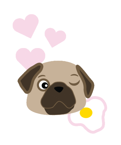 Pug Sticker