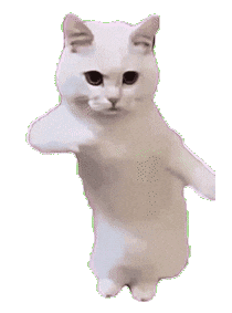 Cat Dancing Pjmedia Sticker