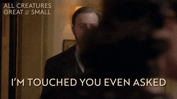 Touching Channel 5 GIF by All Creatures Great And Small