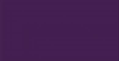 Princessroyaltrainingawards GIF