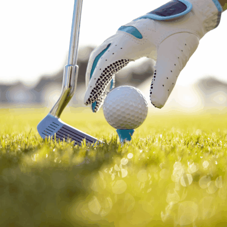 Digital Fairways GIF