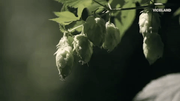 200.gif?cid=fc005b08ad2ab646620f0daa88ff403bfa609c3e21c93e61&rid=200.gif&ct=g