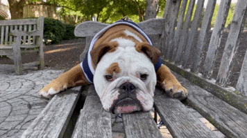 Bored Hang Out GIF by Butler University