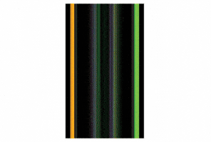 Grabx GIF by Grab Singapore