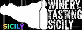 winerytastingsicily.com GIF