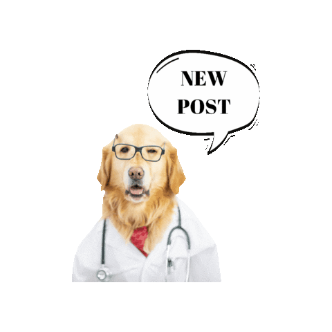 Mvz New Post Sticker by DREO_BeautySI