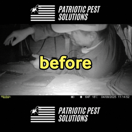 Ppsteam GIF by Patriotic Pest Solutions