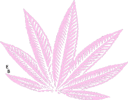 Plants Nm Sticker by Sinners Vice Lashes