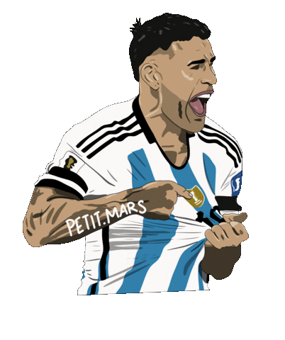 Futbol Argentina Sticker by Petit Mars