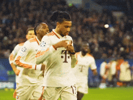 France Bayern GIF