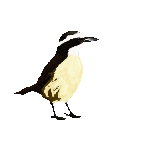 Post Novo No Feed Sticker by V&Young