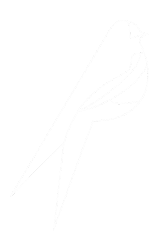 Bird Sticker by Ark Glyfada