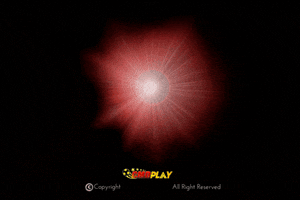 Bettingonline GIF