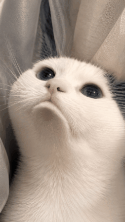 Sad GIF