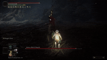 Punch Elden Ring GIF