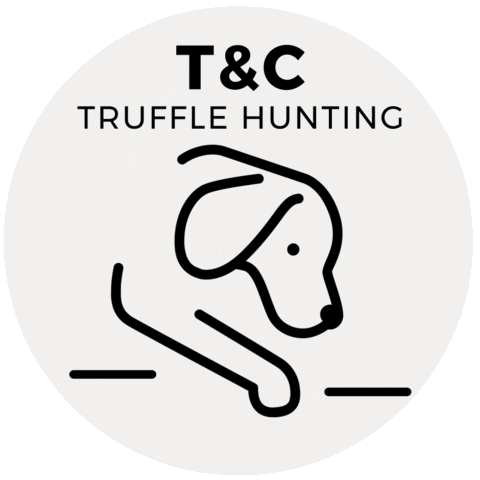 T&C Tartufi Sticker