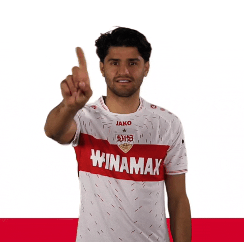 Jako Winamax GIF by VfB Stuttgart