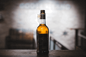 Goose Island Bcs GIF