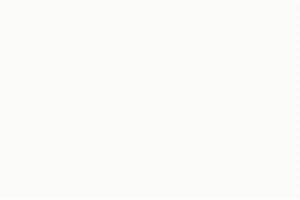 Madee GIF