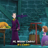 sofia-the-first-cedric-sorcerer-princess-prOF9K0q5yTh6