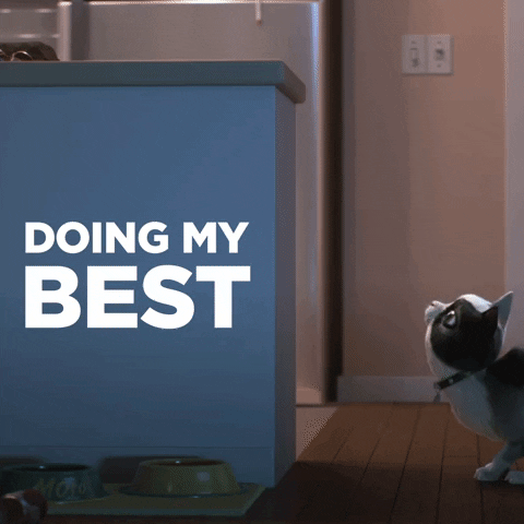 Doing My Best So Close GIF by Hill's Pet Nutrition