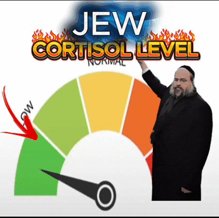 Israel Jew GIF