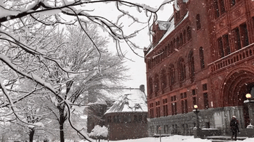 university of vermont snow GIF