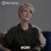 Oh My Gosh Thats Great GIF by PBS SoCal