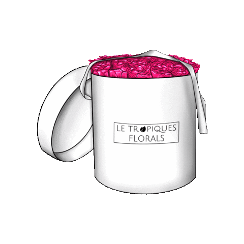 letropiques Sticker