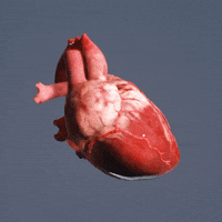Heart 3D GIF by MedRoom