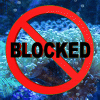 blocked-banned-barred-puh5a5BaEYSQWV8Zzw