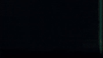 GIF by Studiocanal Germany