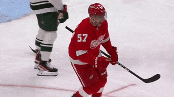Happy Red Wings GIF by Bally Sports Detroit