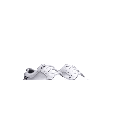 FootJoy SEA Sticker