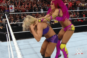 Wwe-title GIFs - Get the best GIF on GIPHY