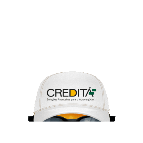 Creditá Sticker